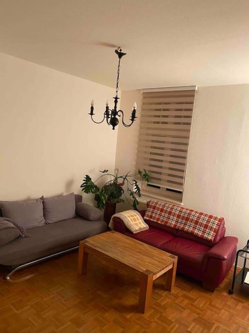 Schone Altbauwohnung Mit Grun In Ruhiger Lage Leipzig Exterior photo